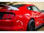 Thumbnail Photo 8 for 2016 Ford Mustang Shelby GT350 Coupe